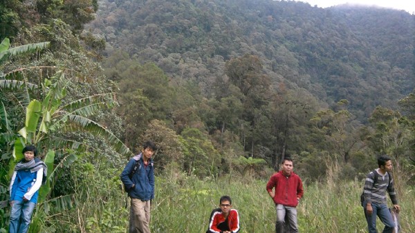 Gaya di Taman Nasional Gunung Pangrango