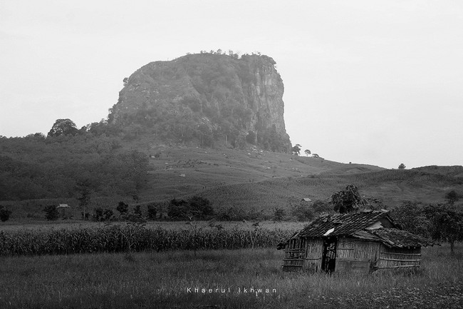 Gunung Gajah di Pemalang, Treknya Ekstrem dan Menantang!