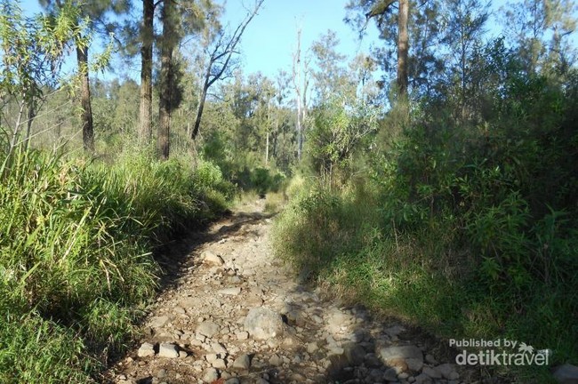 Gunung Welirang untuk Ditaklukan Traveler di Jawa Timur