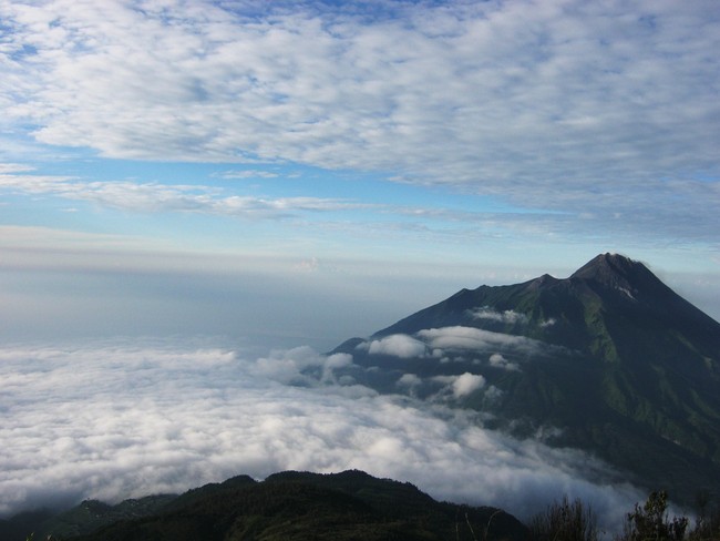Amazing! Sabana nan Hijau di Merbabu