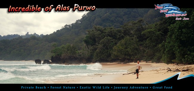 Incredible Alas purwo