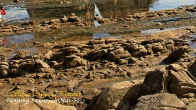Ini Baru Unik! Batu Kodok di Pantai Sawarna