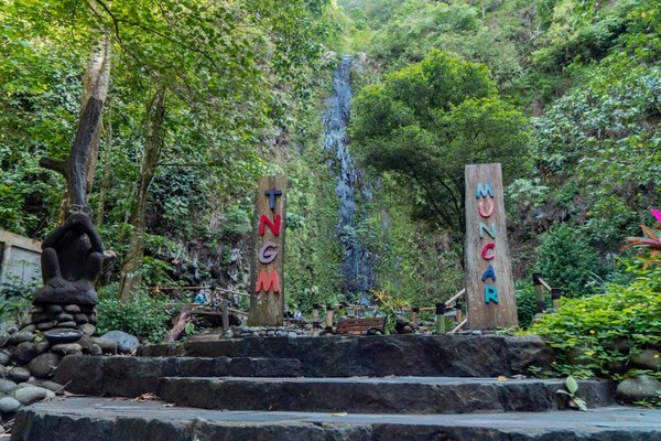 Tlogo Muncar setinggi 30m yang berada di TN Gunung Merapi ini volume airnya masih sedikit karena baru saja memasuki musim hujan Tlogo Muncar setinggi 30m yang berada di TN Gunung Merapi ini volume airnya masih sedikit karena baru saja memasuki musim hujan