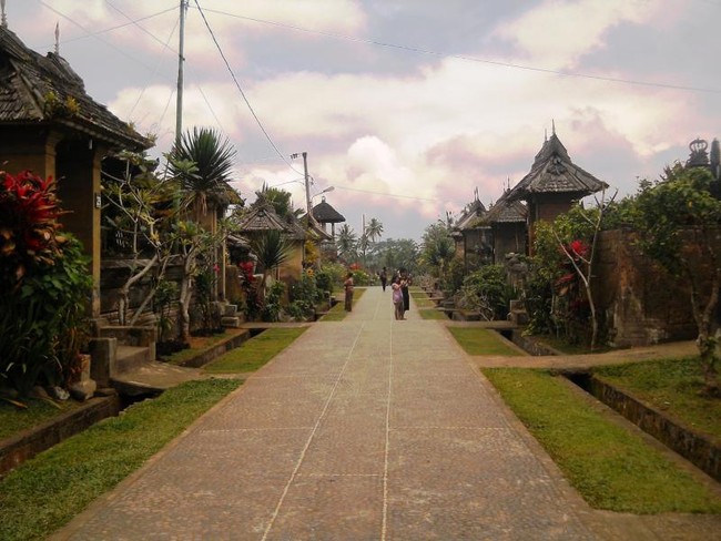 Ini Dia Desa Paling Unik di Bali