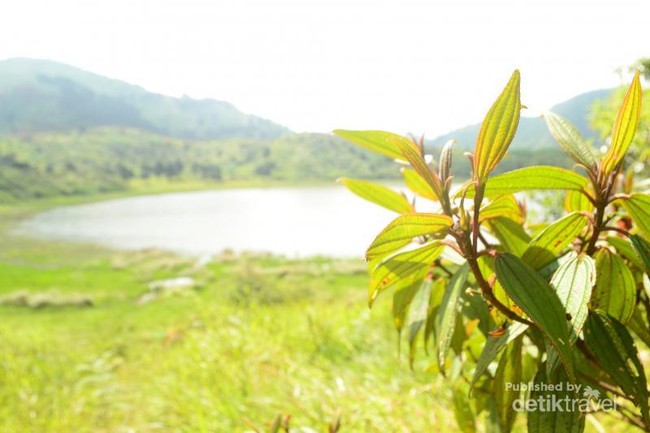 Ini Dia Ranu Kumbolo Rasa Dieng