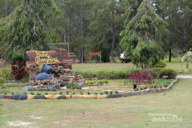 Ini Jembatan Kanopi yang Keren di Kalimantan