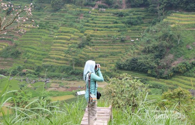 Ini Juga Ujung Kulon Tapi di Magetan