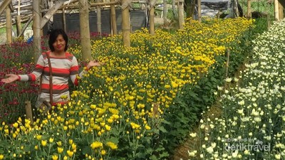 Ini Lho Kebun Bunga Fotogenik di Semarang