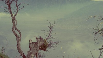 Ini Sisi Lain Kecantikan Gunung Bromo
