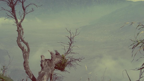 Ini Sisi Lain Kecantikan Gunung Bromo