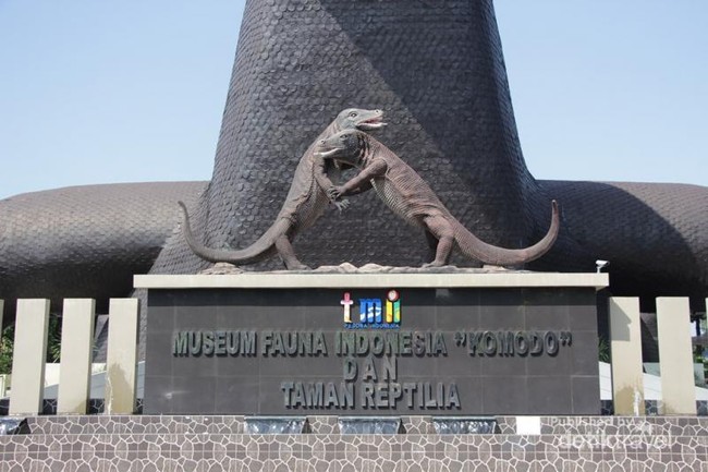 Ini Tempat Melihat Komodo di Jakarta