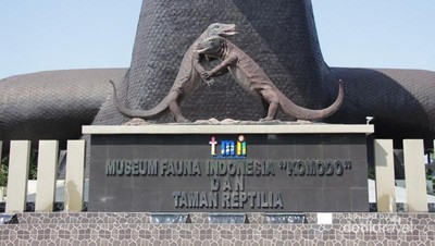Ini Tempat Melihat Komodo di Jakarta