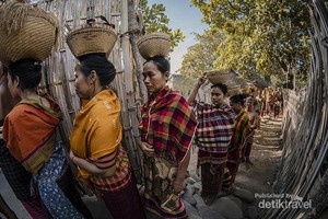 Ini Tradisi Maulid Lombok yang Jarang Orang Tahu