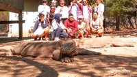 Foto bersama si komo di Pulau Komodo