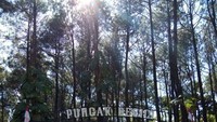 Gerbang Masuk Puncak Becici