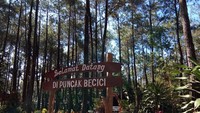 Spot foto  Puncak Becici