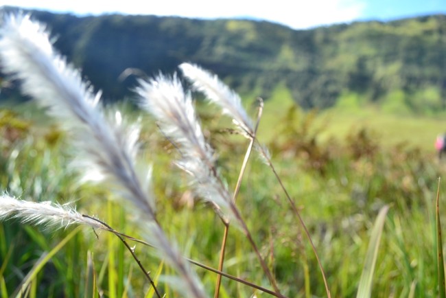 Jepret! Ayo Bergaya di Bukit Teletubbies, Bromo