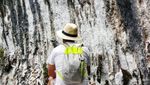 Kamu, Dapat Salam Lagi dari Raja Ampat
