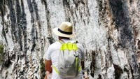 Goa di Kabui dengan stalaktitnya