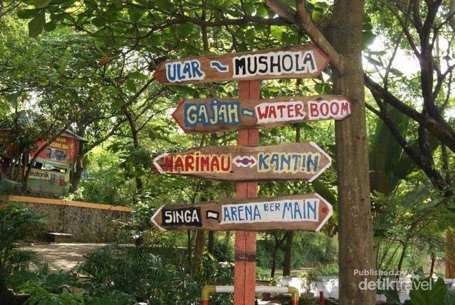 Kebun Binatang di Semarang yang Asyik Buat Akhir Pekan Bareng Anak