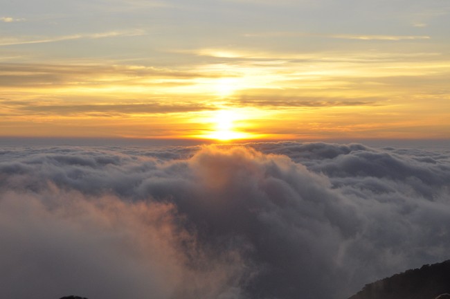 Keindahan Alam Gunung Gede