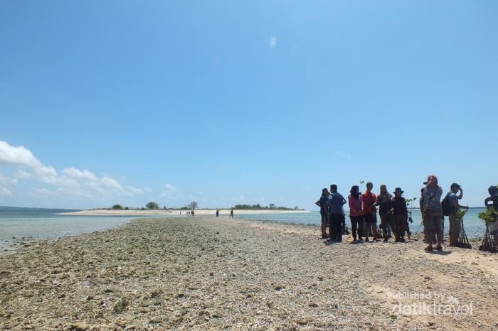 Lestarikan Alam Dengan Menanam Bakau di Gili Kondo