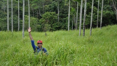 Lhok Mata Ie, Pantai Tersembunyi di Aceh Besar