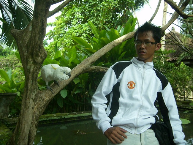Libur Akhir Pekan Beda di Pulau Dewata, Yuk ke Bali Bird Park