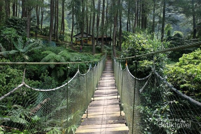Libur Waisak Nanti, Kemping di Gunung Salak Yuk!