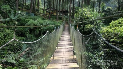 Libur Waisak Nanti, Kemping di Gunung Salak Yuk!
