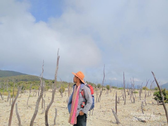 Liburan Akhir Tahun ke Papandayan Saja, Seru!