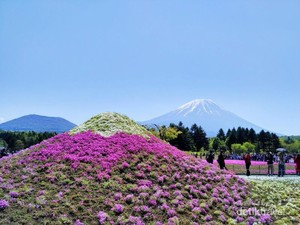 Liburan Seminggu di Jepang Cuma Habis Rp 6,5 Juta, Baca Ini Dulu