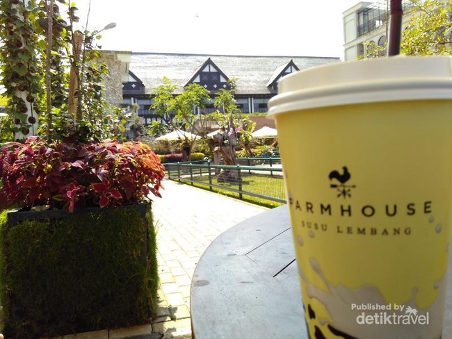 Long Weekend Seru di Farm House Lembang