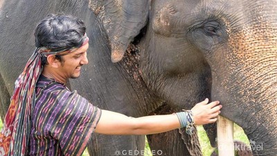 Lucunya Gajah di Lampung