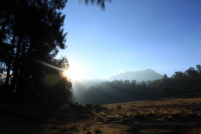 Mahameru, Penantian Setelah 2 Tahun