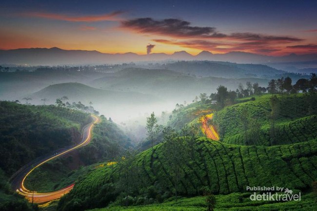 Manjain Mata Dulu di Kebun Teh Cukul Bandung