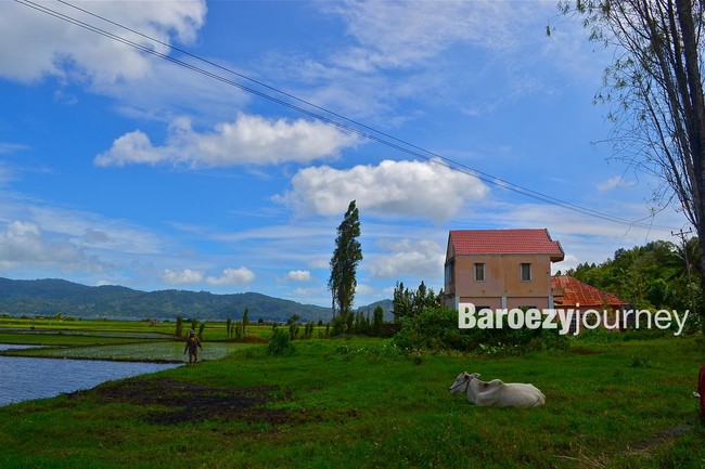 Mata Tak Berkedip di Tondano