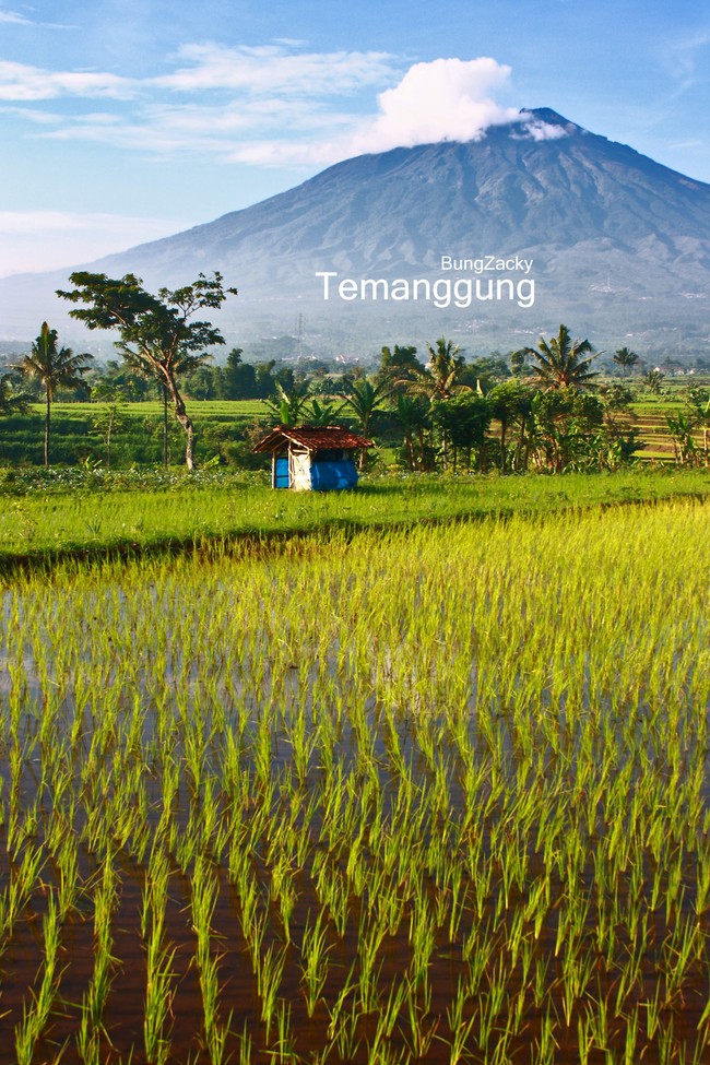 Melihat Gunung Sumbing Lebih Dekat