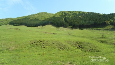Melihat Lebih Dekat Kawah Neraka di Jepang