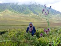 Memang Cantik Bukit Teletubbies Di Bromo