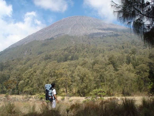 Menapaki Ketinggian Semeru