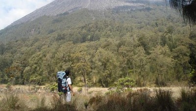 Menapaki Ketinggian Semeru
