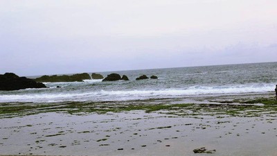 Menatap Kegaharan Karang di Pantai Siung, Gunungkidul