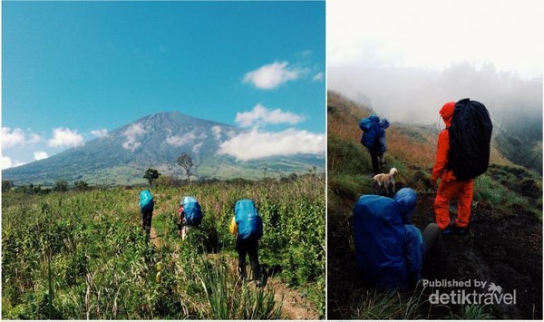 Mendaki Gunung Di Musim Hujan Ini Tipsnya Mendaki Gunung Di Musim Hujan Ini Tipsnya