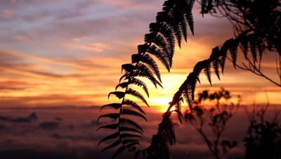 Mendaki Gunung Talamau, Pernah Coba?