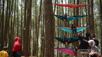Pengunjung dapat menyewa hammock dengan membayar Rp.10.000,00 per hammock.