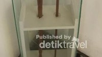 Peninggalan Bung Karno yang masih dirawat dengan baik, salah satunya adalah tongkat milik Bung Karno