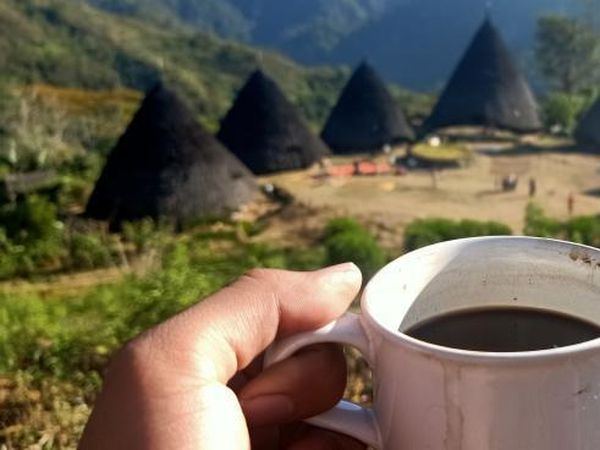 Menikmati Kopi Wae Rebo di Negeri Atas Awan Flores
