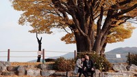 Dumulmeori lake, danau romantis di Korea selatan