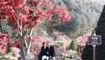 Menikmati Musim Gugur Romantis di Korea Selatan